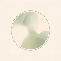 Anonymous dental practice owner avatar